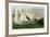 Trumpeter Swan-John James Audubon-Framed Premium Giclee Print