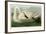 Trumpeter Swan-John James Audubon-Framed Premium Giclee Print