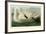 Trumpeter Swan-John James Audubon-Framed Premium Giclee Print