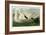 Trumpeter Swan-John James Audubon-Framed Giclee Print