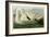 Trumpeter Swan-John James Audubon-Framed Giclee Print