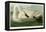 Trumpeter Swan-John James Audubon-Framed Premier Image Canvas