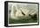 Trumpeter Swan-John James Audubon-Framed Premier Image Canvas