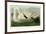 Trumpeter Swan-John James Audubon-Framed Giclee Print