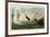 Trumpeter Swan-John James Audubon-Framed Giclee Print