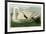 Trumpeter Swan-John James Audubon-Framed Giclee Print