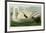 Trumpeter Swan-John James Audubon-Framed Giclee Print