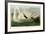 Trumpeter Swan-John James Audubon-Framed Giclee Print