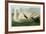 Trumpeter Swan-John James Audubon-Framed Giclee Print