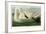 Trumpeter Swan-John James Audubon-Framed Giclee Print