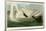 Trumpeter Swan-John James Audubon-Framed Giclee Print