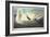 Trumpeter Swan-John James Audubon-Framed Giclee Print