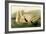 Trumpeter Swan-John James Audubon-Framed Art Print