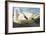Trumpeter Swan-John James Audubon-Framed Art Print
