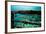 Trumpetfish (Aulostomus Maculatus) on Wreck-Franco Banfi-Framed Photographic Print