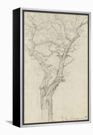 Trunk and Branches of a Tree in the Bois De Boulogne-Pierre Henri de Valenciennes-Framed Premier Image Canvas