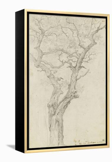 Trunk and Branches of a Tree in the Bois De Boulogne-Pierre Henri de Valenciennes-Framed Premier Image Canvas
