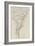 Trunk and Branches of a Tree in the Bois De Boulogne-Pierre Henri de Valenciennes-Framed Giclee Print