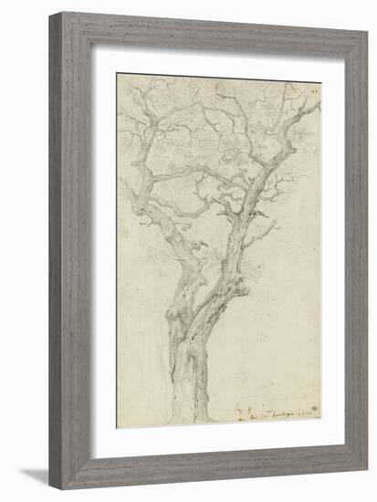 Trunk and Branches of a Tree in the Bois De Boulogne-Pierre Henri de Valenciennes-Framed Giclee Print