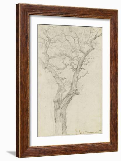 Trunk and Branches of a Tree in the Bois De Boulogne-Pierre Henri de Valenciennes-Framed Giclee Print