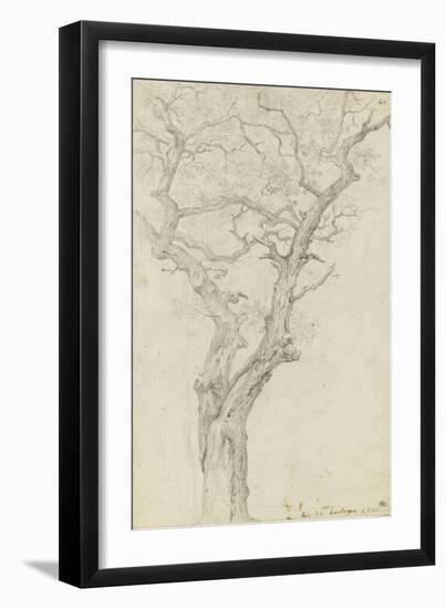 Trunk and Branches of a Tree in the Bois De Boulogne-Pierre Henri de Valenciennes-Framed Giclee Print