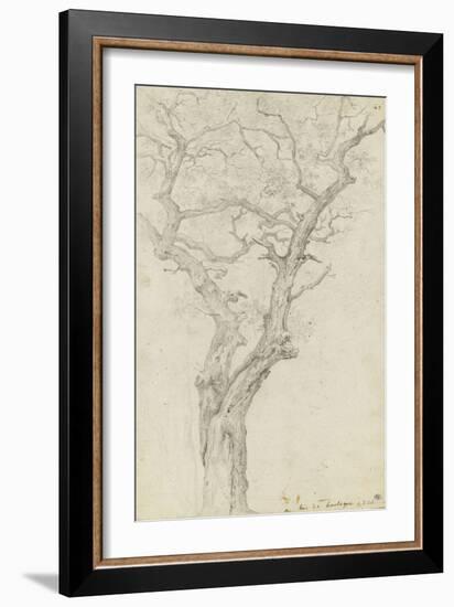 Trunk and Branches of a Tree in the Bois De Boulogne-Pierre Henri de Valenciennes-Framed Giclee Print