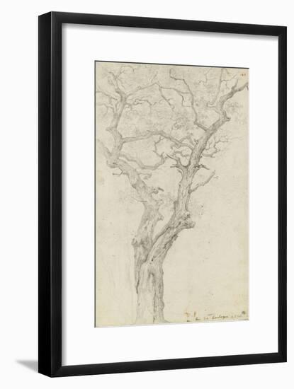 Trunk and Branches of a Tree in the Bois De Boulogne-Pierre Henri de Valenciennes-Framed Giclee Print