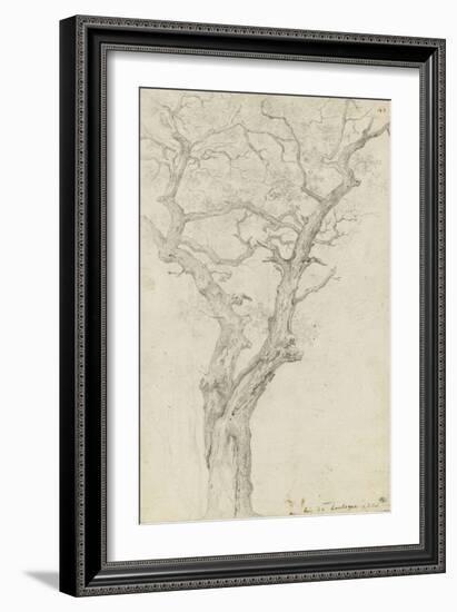 Trunk and Branches of a Tree in the Bois De Boulogne-Pierre Henri de Valenciennes-Framed Giclee Print