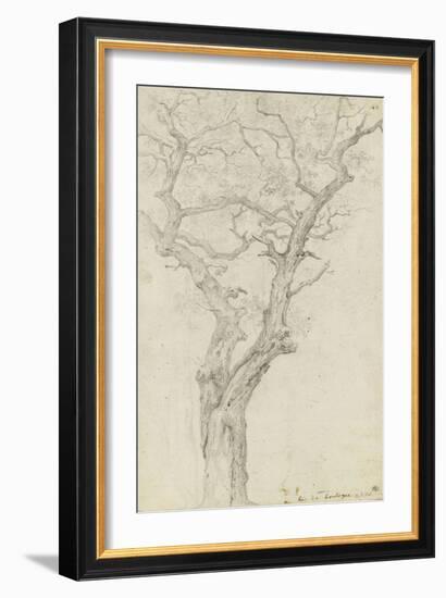 Trunk and Branches of a Tree in the Bois De Boulogne-Pierre Henri de Valenciennes-Framed Giclee Print