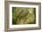 Trunk, bark structure-Roland T. Frank-Framed Photographic Print