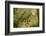 Trunk, bark structure-Roland T. Frank-Framed Photographic Print