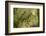 Trunk, bark structure-Roland T. Frank-Framed Photographic Print