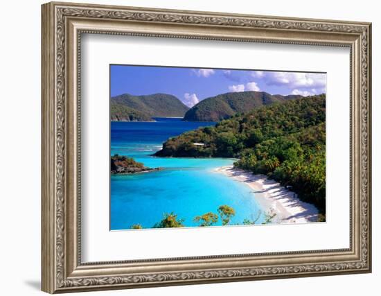 Trunk Bay Beach, St John, US Virgin Islands-George Oze-Framed Photographic Print