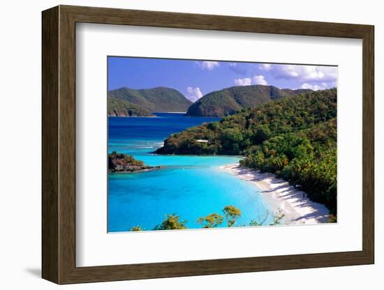 Trunk Bay Beach, St John, US Virgin Islands-George Oze-Framed Photographic Print