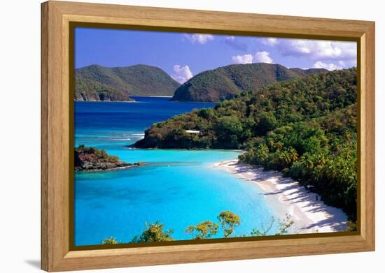 Trunk Bay Beach, St John, US Virgin Islands-George Oze-Framed Premier Image Canvas