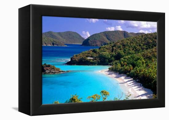 Trunk Bay Beach, St John, US Virgin Islands-George Oze-Framed Premier Image Canvas