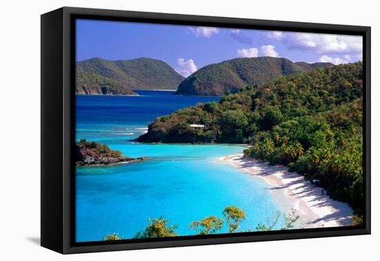 Trunk Bay Beach, St John, US Virgin Islands-George Oze-Framed Premier Image Canvas