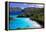 Trunk Bay Beach, St John, US Virgin Islands-George Oze-Framed Premier Image Canvas