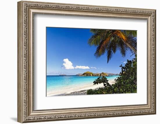 Trunk Bay Palm Tree St John USVI-George Oze-Framed Photographic Print