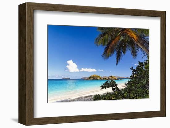 Trunk Bay Palm Tree St John USVI-George Oze-Framed Photographic Print