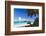 Trunk Bay Palm Tree St John USVI-George Oze-Framed Photographic Print