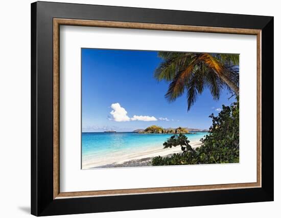 Trunk Bay Palm Tree St John USVI-George Oze-Framed Photographic Print