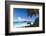 Trunk Bay Palm Tree St John USVI-George Oze-Framed Photographic Print