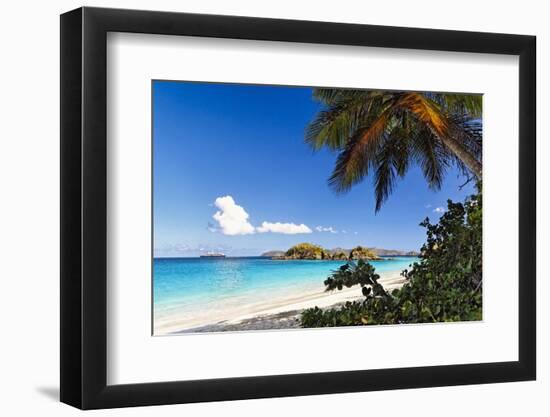 Trunk Bay Palm Tree St John USVI-George Oze-Framed Photographic Print