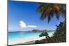 Trunk Bay Palm Tree St John USVI-George Oze-Mounted Photographic Print