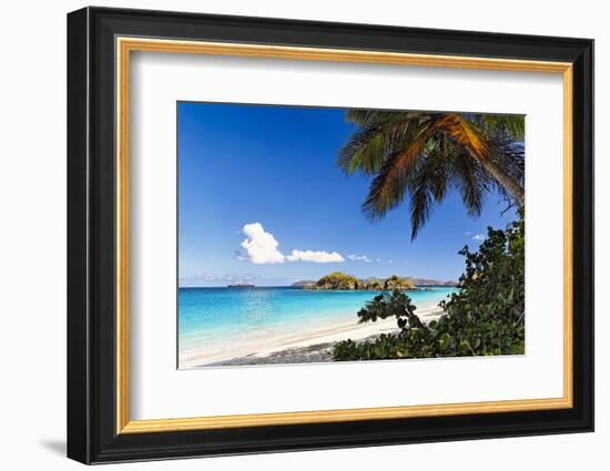 Trunk Bay Palm Tree St John USVI-George Oze-Framed Photographic Print