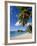 Trunk Bay, St. John, U.S. Virgin Islands, West Indies, Caribbean, Central America-Gavin Hellier-Framed Photographic Print