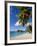 Trunk Bay, St. John, U.S. Virgin Islands, West Indies, Caribbean, Central America-Gavin Hellier-Framed Photographic Print