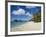 Trunk Bay, St. John, U.S. Virgin Islands, West Indies, Caribbean, Central America-Gavin Hellier-Framed Photographic Print