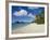 Trunk Bay, St. John, U.S. Virgin Islands, West Indies, Caribbean, Central America-Gavin Hellier-Framed Photographic Print